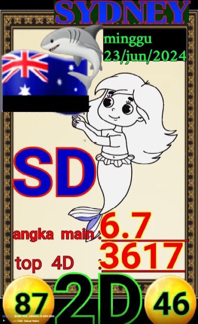 SYAIR SDY VIP